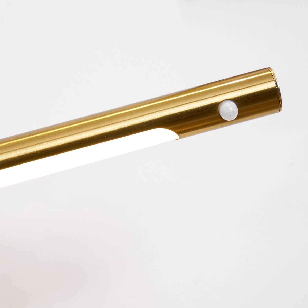Antler Wall Sconce in brass for Hallway by AUVIELIGHT