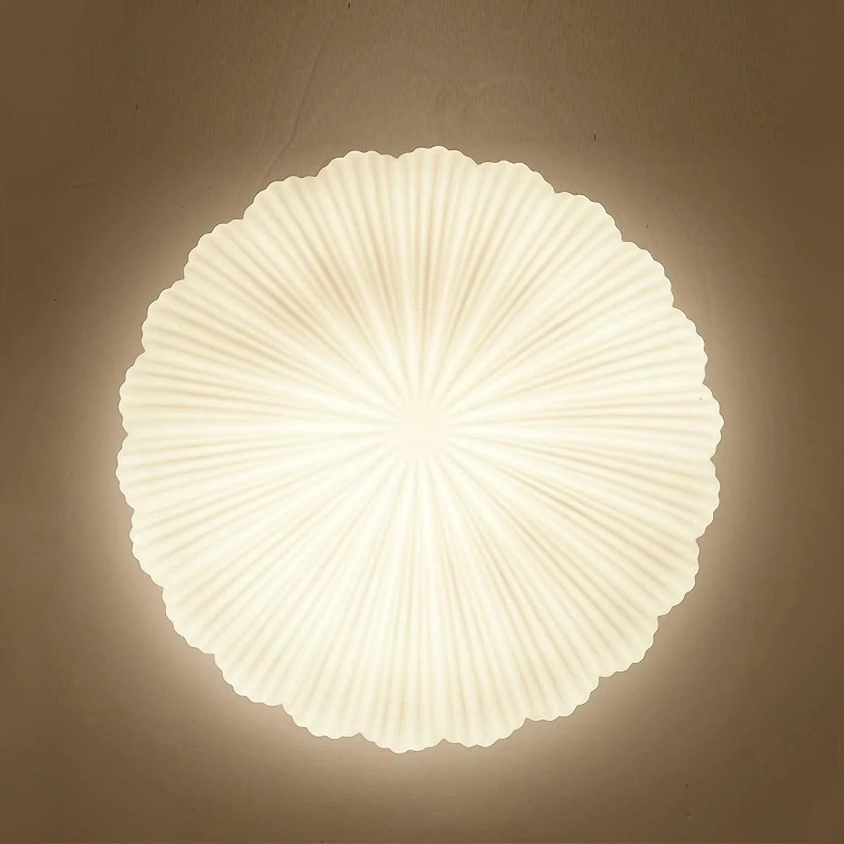 Fluted Shell Flush Mount in glass for Low Ceilings by AUVIELIGHT