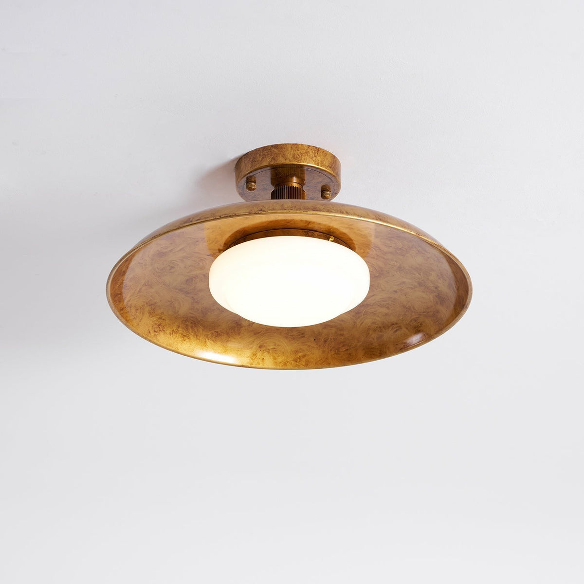 Orbital Dome Ceiling Light for Living Room by AUVIELIGHT