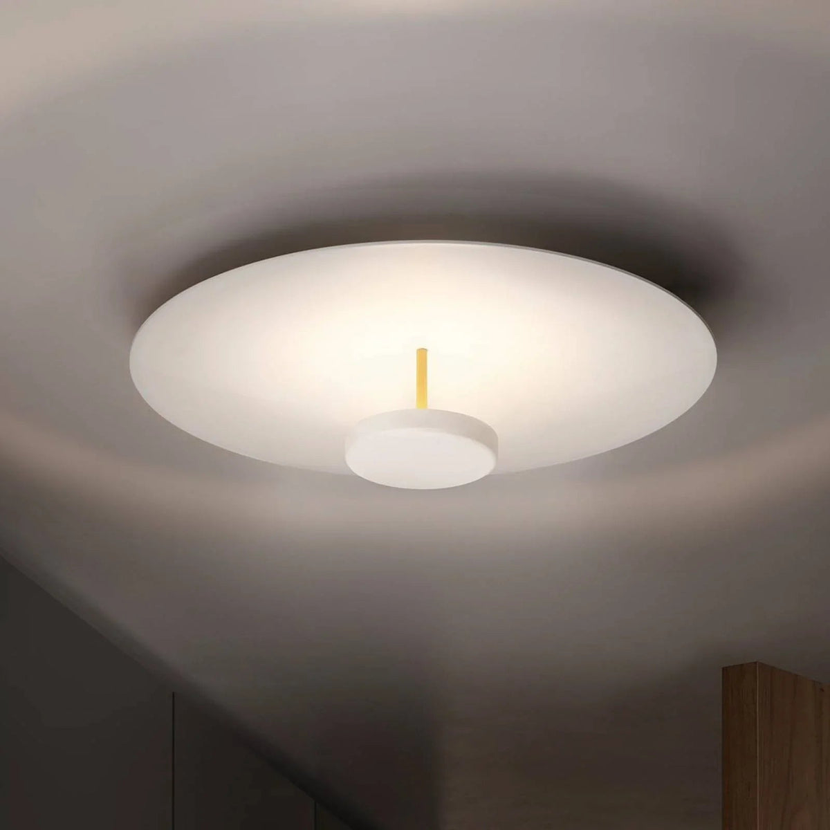 Overfly Ceiling Light for Living Room by AUVIELIGHT