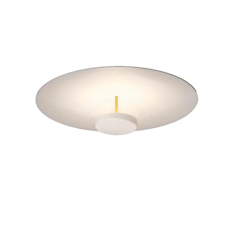 Overfly Ceiling Light for Living Room by AUVIELIGHT