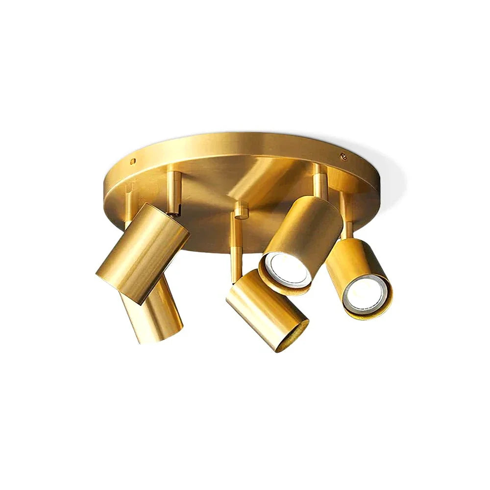 Vance Directional Flush Mount in brass for Low Ceilings by AUVIELIGHT