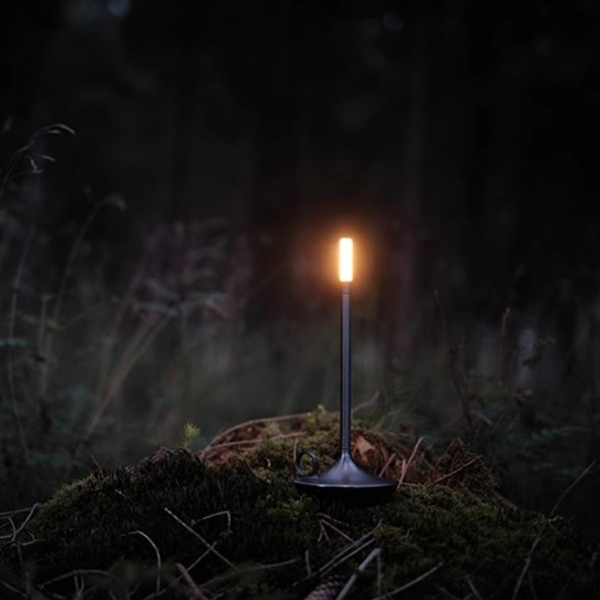 Wick Table Lamp for Living Room by AUVIELIGHT