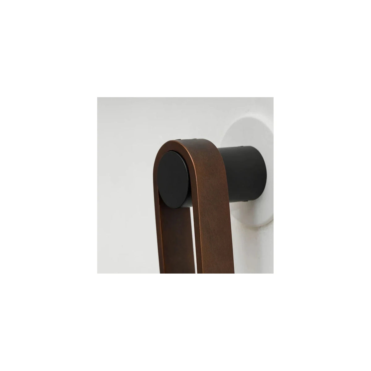 LuxeLoop Bronze Capsule Wall Light by AUVIELIGHT