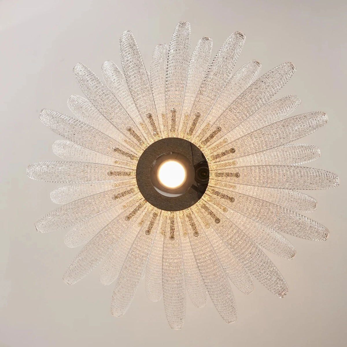 Modern Clear Textured Glass Lotus Blossom Chandelier Pendant Light by AUVIELIGHT