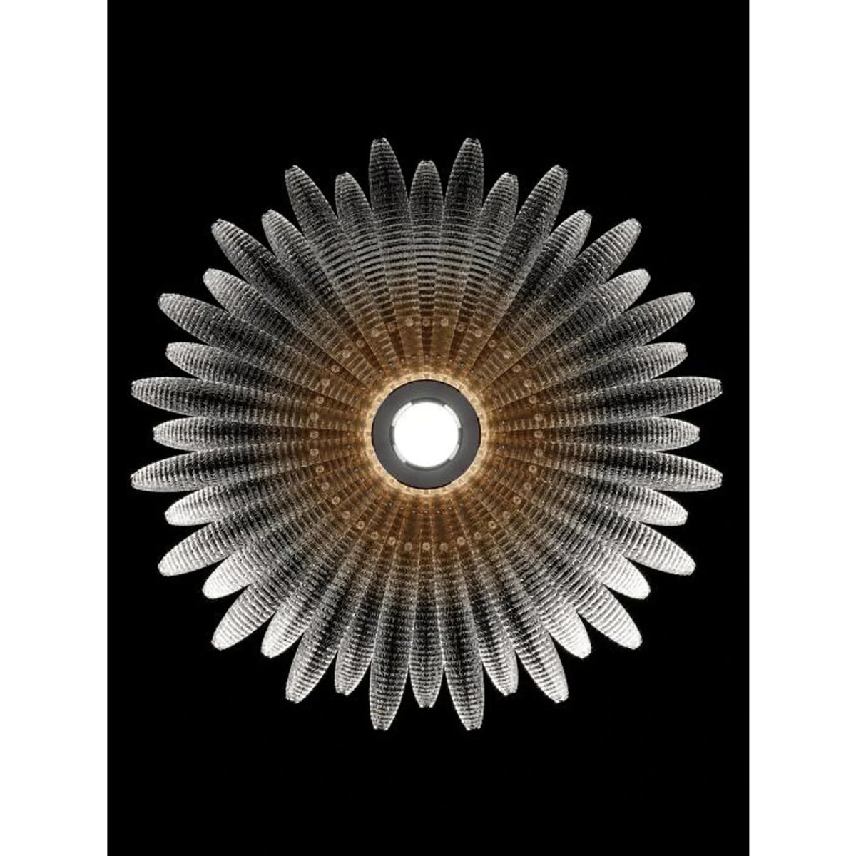 Sculptural Ribbed Blossom Flush Mount in ribbed glass for Low Ceilings by AUVIELIGHT