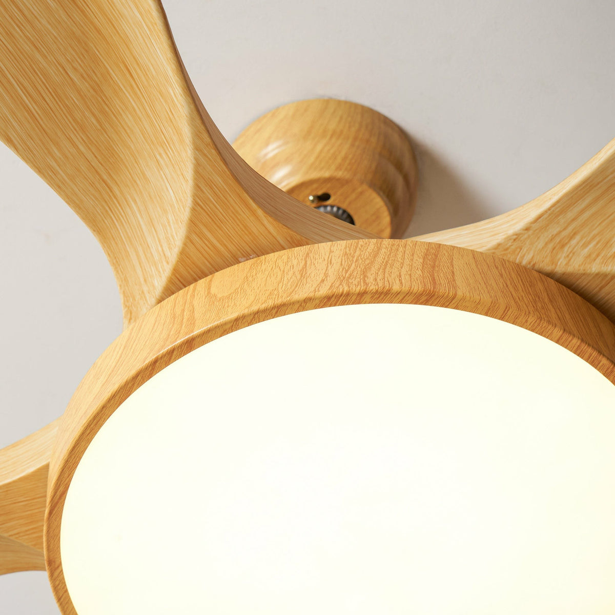 Streamline Ceiling Fan Light in oak for Living Room by AUVIELIGHT